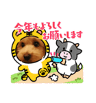 メロスタンプリ〜！（個別スタンプ：9）