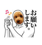 メロスタンプリ〜！（個別スタンプ：10）