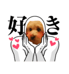 メロスタンプリ〜！（個別スタンプ：11）
