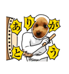メロスタンプリ〜！（個別スタンプ：14）