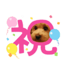 メロスタンプリ〜！（個別スタンプ：17）