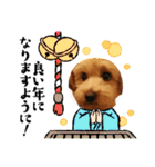 メロスタンプリ〜！（個別スタンプ：22）