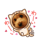 メロスタンプリ〜！（個別スタンプ：24）