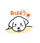 柔らか小犬の日常スタンプ（個別スタンプ：15）