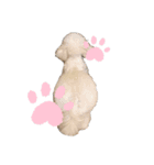 だいふくとこてつ（個別スタンプ：1）