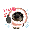 ダノ吉2022（個別スタンプ：4）