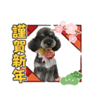 ダノ吉2022（個別スタンプ：9）