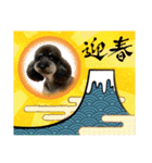 ダノ吉2022（個別スタンプ：11）