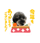 ダノ吉2022（個別スタンプ：12）