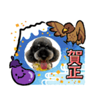 ダノ吉2022（個別スタンプ：15）
