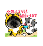 ダノ吉2022（個別スタンプ：19）