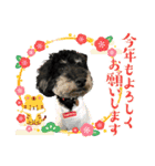 ダノ吉2022（個別スタンプ：21）