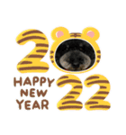 ダノ吉2022（個別スタンプ：22）