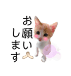齋藤家の猫かぼすとおはぎのスタンプ（個別スタンプ：14）