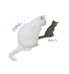 にゃんにゃんにゃんこの日常（個別スタンプ：9）
