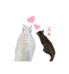 にゃんにゃんにゃんこの日常（個別スタンプ：32）