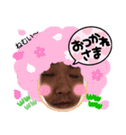 ✨キモ可愛まもるちゃん✨3（個別スタンプ：14）