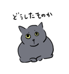 猫の万次郎（個別スタンプ：3）