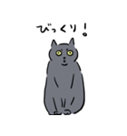 猫の万次郎（個別スタンプ：5）