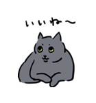 猫の万次郎（個別スタンプ：7）