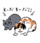 猫の万次郎（個別スタンプ：8）
