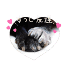 フレブル姉妹 まほじゅり日和 1（個別スタンプ：7）