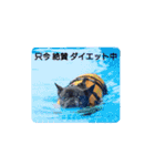 フレブル姉妹 まほじゅり日和 1（個別スタンプ：23）