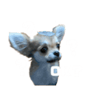 愛犬(♡)日常会話（個別スタンプ：9）