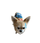 愛犬(♡)日常会話（個別スタンプ：14）