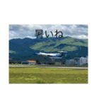 飛行機で旅行（個別スタンプ：7）