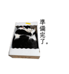 monkun2（個別スタンプ：5）