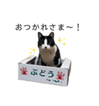 monkun2（個別スタンプ：6）