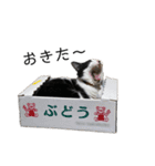monkun2（個別スタンプ：7）