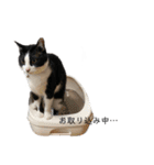 monkun2（個別スタンプ：22）