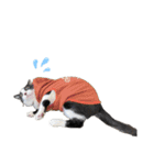 monkun2（個別スタンプ：29）