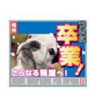 フレブルpuppyアレク4（個別スタンプ：3）