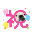 フレブルpuppyアレク4（個別スタンプ：5）