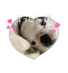 フレブルpuppyアレク4（個別スタンプ：7）