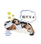IGモネホーク（個別スタンプ：19）