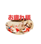 IGモネホーク（個別スタンプ：23）