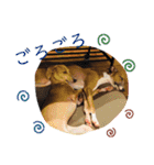 IGモネホーク（個別スタンプ：24）