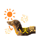 大好きアズキちゃんパート2（個別スタンプ：2）