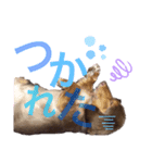 大好きアズキちゃんパート2（個別スタンプ：4）