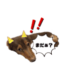大好きアズキちゃんパート2（個別スタンプ：7）