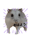 こしあんさんの日常その0（個別スタンプ：1）
