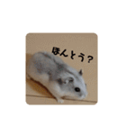 こしあんさんの日常その0（個別スタンプ：8）