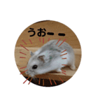 こしあんさんの日常その0（個別スタンプ：14）