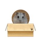 こしあんさんの日常その0（個別スタンプ：25）