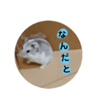こしあんさんの日常その0（個別スタンプ：32）