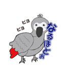 ミーアキャットのみぃ太郎（個別スタンプ：11）